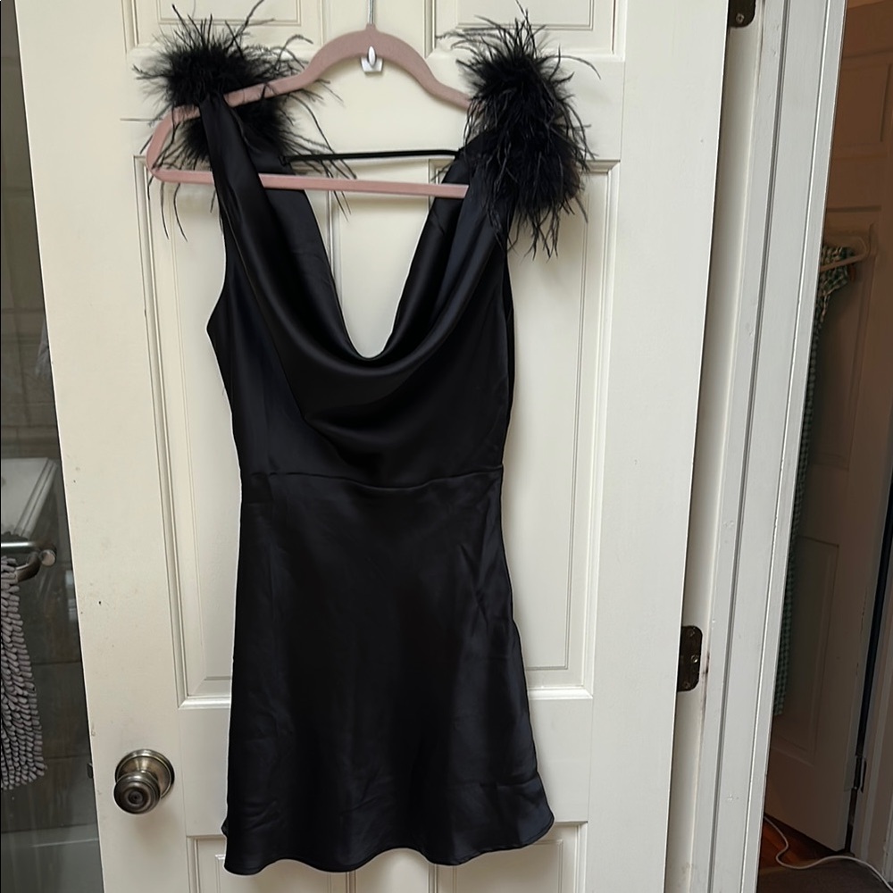 Elegant Black Feather-Trimmed Dress